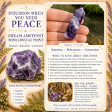 Dream Amethyst Mini Crystal Point
