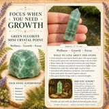 Green Fluorite Mini Crystal Point