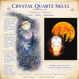 Crâne de quartz en cristal (taille moyenne)