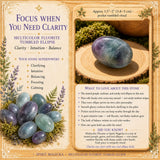 Multicolor Fluorite Tumbled Ellipse