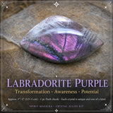 Crystal Allies Kit - 8 Powerful Specimens (SAVE 60% Bundle Deal)