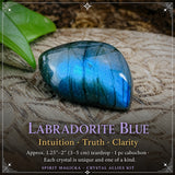 Crystal Allies Kit - 8 Powerful Specimens (SAVE 60% Bundle Deal)