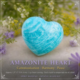 Crystal Allies Kit - 8 Powerful Specimens (SAVE 60% Bundle Deal)