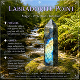 43-Piece Crystal Collectors Super Kit