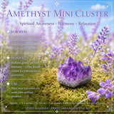 50% OFF SALE Sweet Dreams Crystal Set