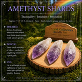 42-Piece Crystal Collectors Bundle Set
