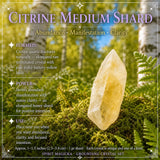 Grounding Crystal Set