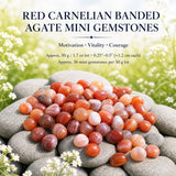 Crystal Sampler Bundle Nr. 2 - 70 % Rabatt Blitzangebot