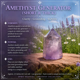 Amethyst Collectors Set  - Wholesale Bundle