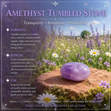 Amethyst Collectors Set  - Wholesale Bundle