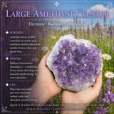 Amethyst Collectors Set  - Wholesale Bundle