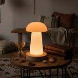 Mystical Selenite Mushroom Mood Light