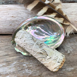 Smudge Kit: White Sage (4-Inch) + Abalone Shell