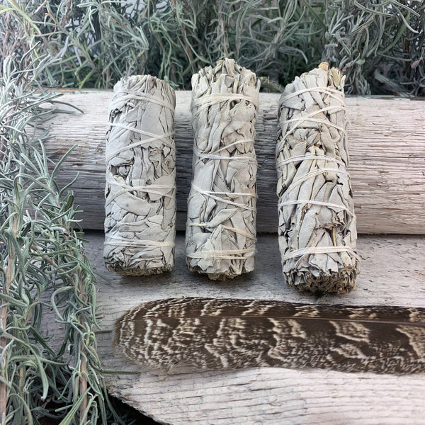 4-Inch White Sage Bundles