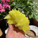 Sulfur Crystal (340 grams)  (Item #1024)