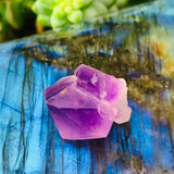 Amethyst Fairy Cluster - clustergeode