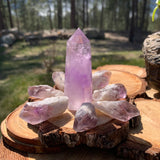 8-Piece Amethyst Point + Amethyst Shards Set