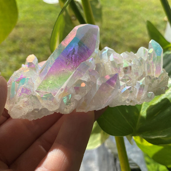 Angel Aura Cluster - clustergeode