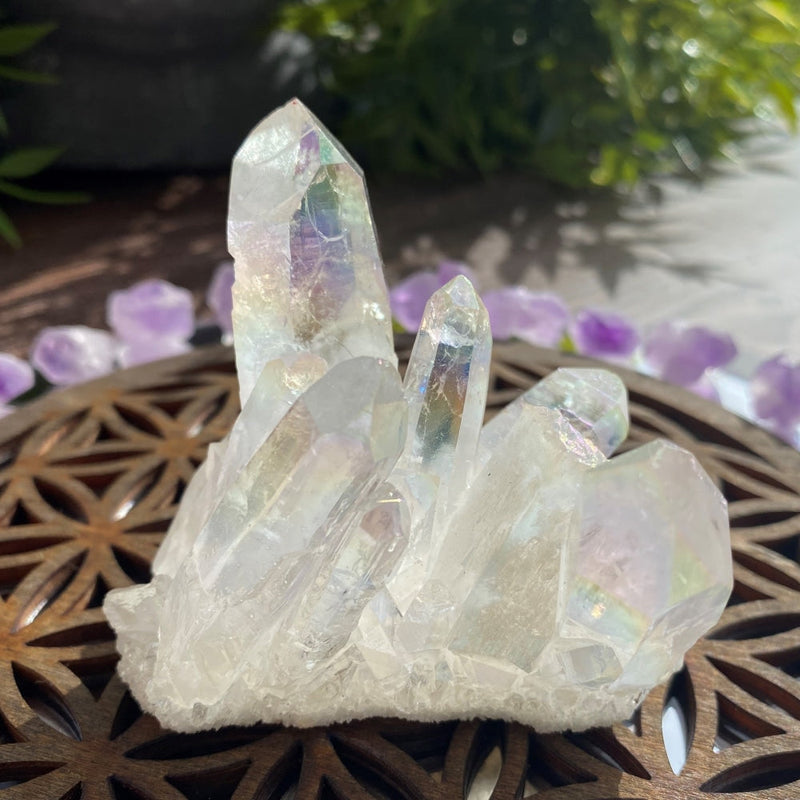 Angel Aura Cluster - clustergeode