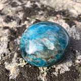 Apatite Palmstone - palmstone