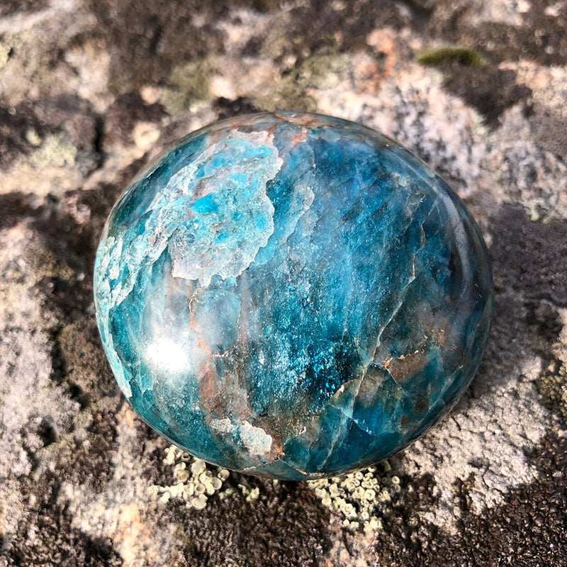 Apatite Palmstone - palmstone