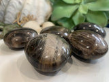 Black Moonstone Palmstone - palmstone