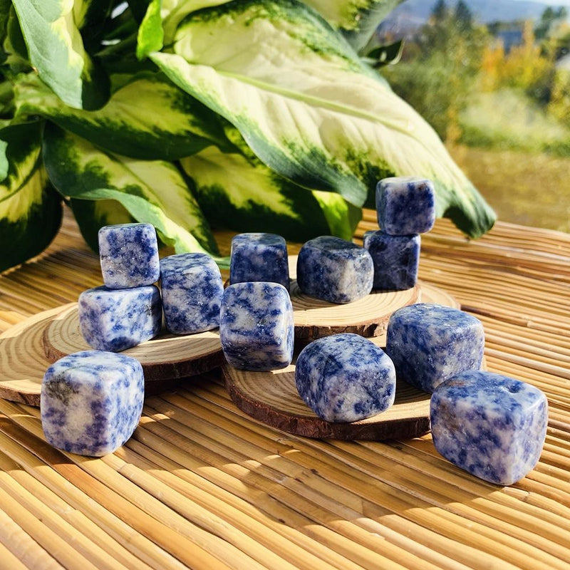 Blue Spot Jasper Tumbled Stone Set of 12 - tumbledstone