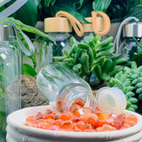 WWW - PRICING -Carnelian Gem Pod Crystal Water Bottle - water