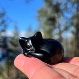 PRIZE WINNNER: Obsidian & Agate Cat Totem Set