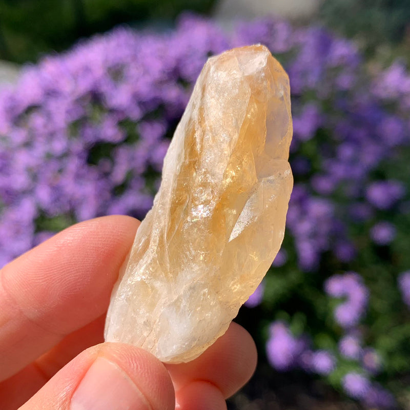 Citrine Rough Shards (Medium)