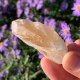 Citrine Rough Shards (Medium)