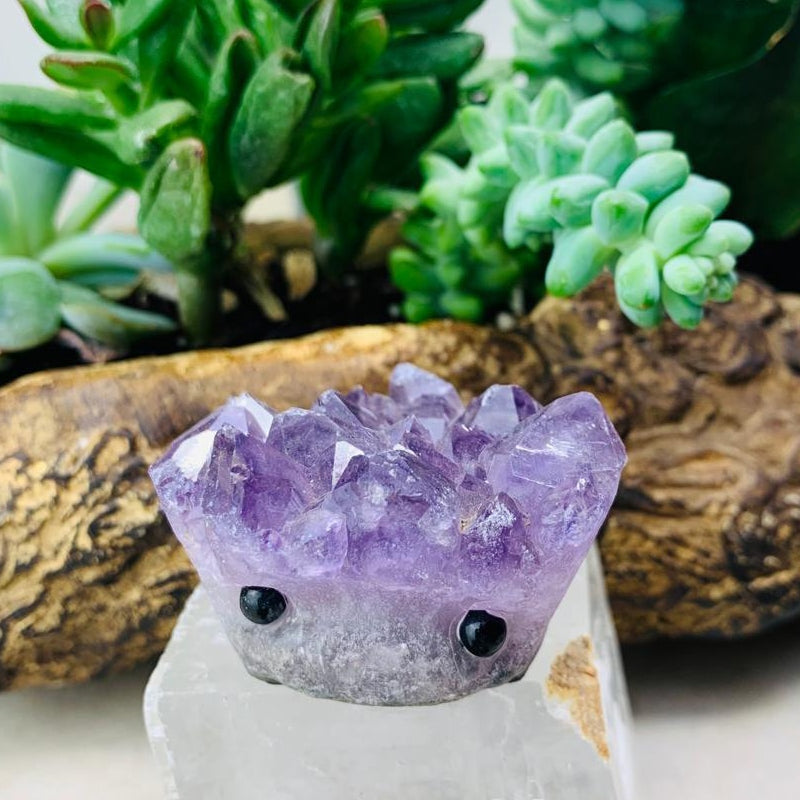 Crystal Amethyst Hedgehog Pet (ADOPT ME PLEASE) 🥰 - carving