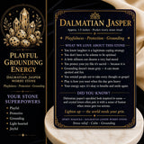 Dalmatian Jasper Worry Stone