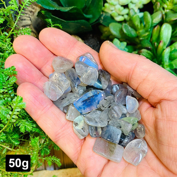 Flash Labradorite Mini Gemstones (50 Gram / 1.7oz. Lot)