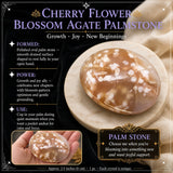 Cherry Flower Blossom Agate Palmstone