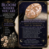 Cherry Flower Blossom Agate Palmstone