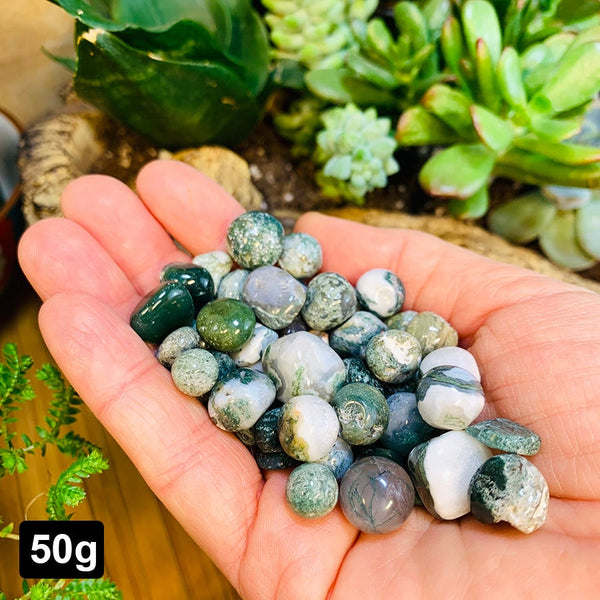 Green Moss Agate Mini Gemstones (50 Gram / 1.7oz. Lot)