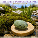 Prehnite Tumbled Ellipse