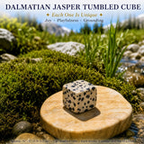 Dalmatian Jasper Tumbled Cube