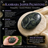 Kambaba Jasper Palmstone