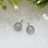 Earrings - Labradorite Studs