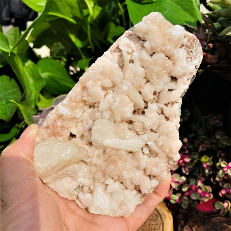 Large (1.26 lbs.) Zeolite Geode (Item #0029)