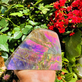 Large (1.63 lbs.) Purple Flash Labradorite Freeform (Item #0103)