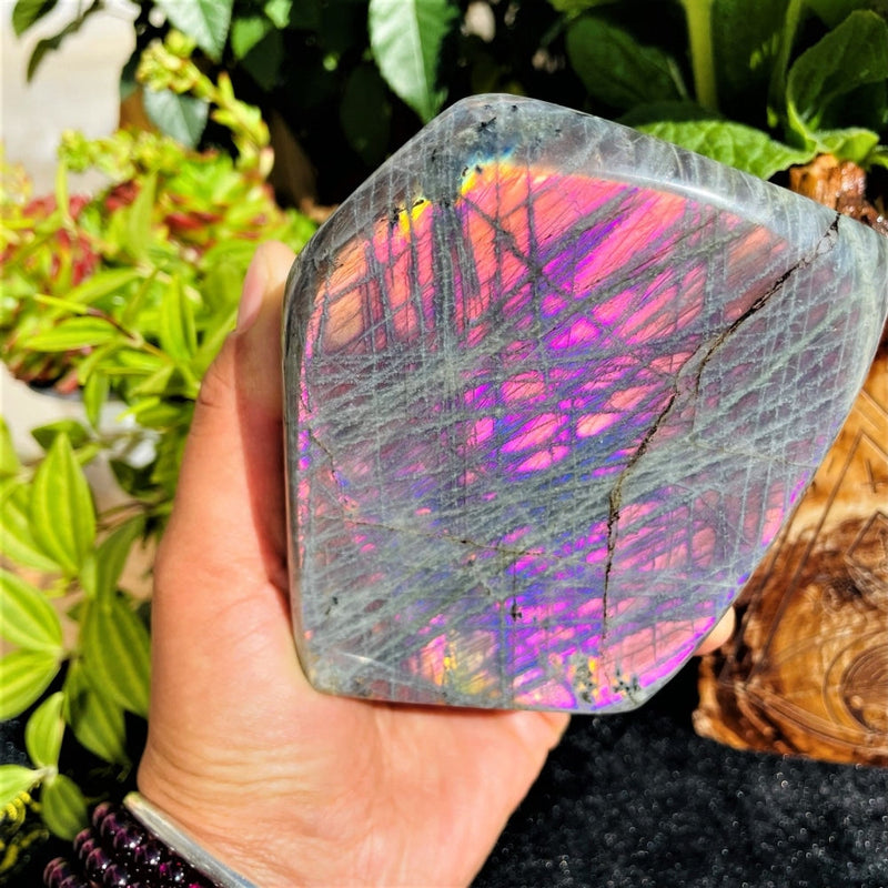 Large (1.67 lbs.) Purple Flash Labradorite Freeform (Item #1017)