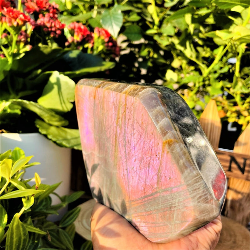 Large (2.20 lbs.) Purple Flash Labradorite Freeform (Item #0081)