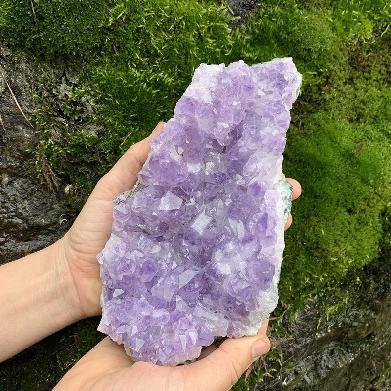 Large Specimen Amethyst Cluster - clustergeode