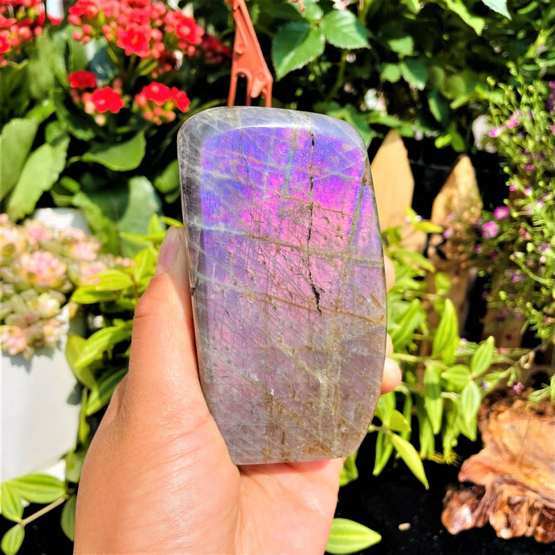 Purple Flash Labradorite Freeform (Item #0082)