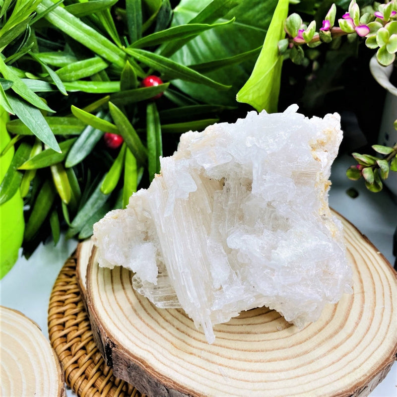 Large Selenite Cluster (Item #0044)