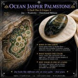 Ocean Jasper Palmstone