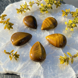 Mini Tiger's Eye Cabochons